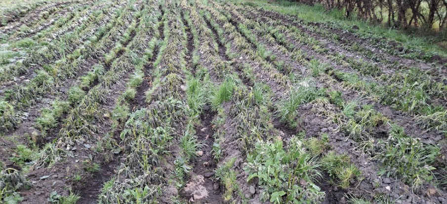 596733765_1403544484980830_1742971434503130775_n