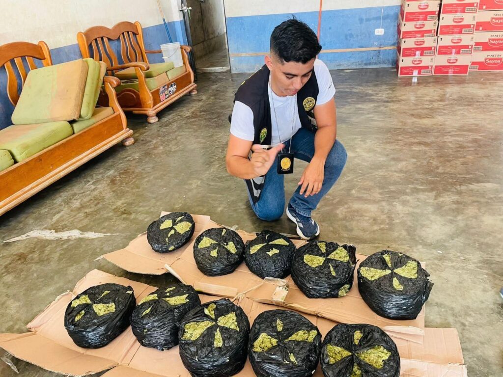 Incautan-mas-de-10-kilos-de-presunta-marihuana-camuflada-en-encomienda.jpg