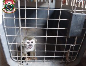 612189013_122284516640185996_3065368339925175701_n