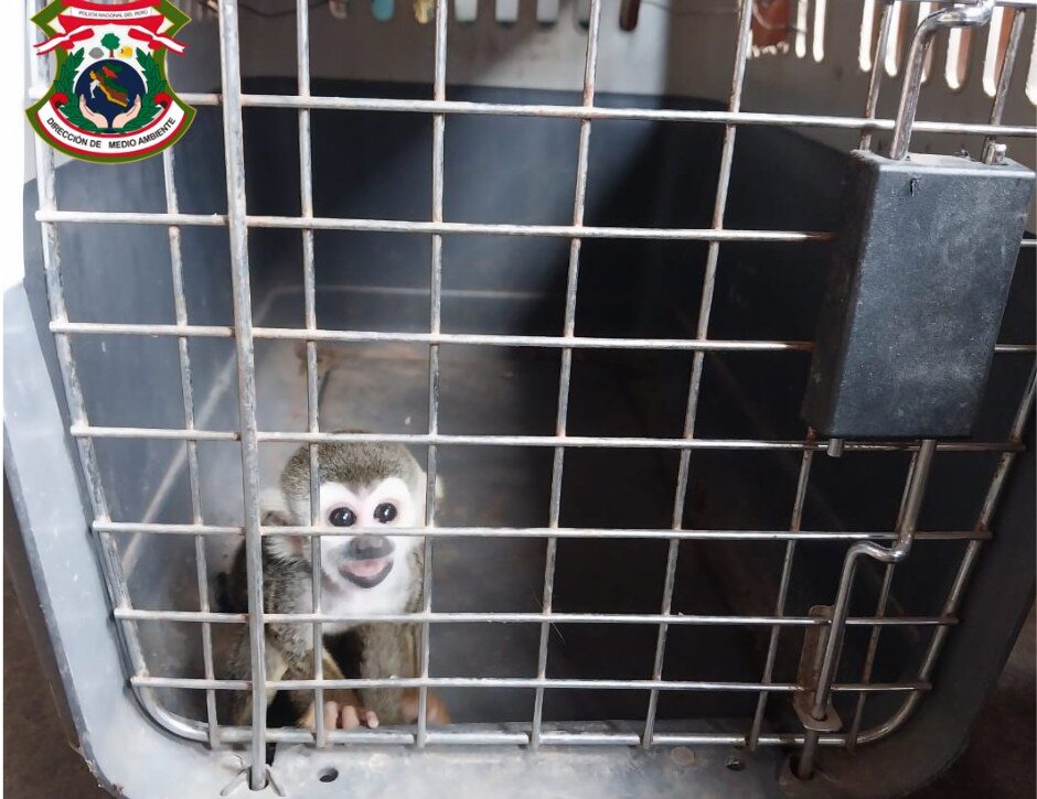 612189013_122284516640185996_3065368339925175701_n