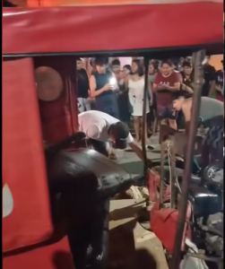 Captura de pantalla 2026-01-06 051334