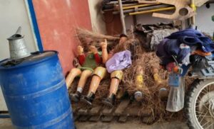 631428616_122166115352925873_955975327081476109_n