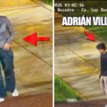 699e295299abec7e1e0a97c9