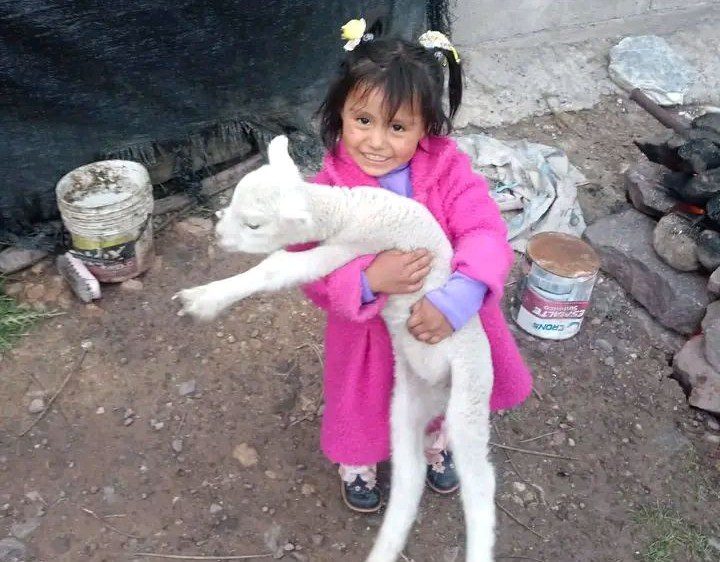 638365704_896315259707313_4170044771409289134_n