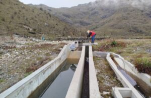 653474734_979469207741979_8301396270649811091_n