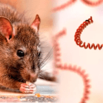 69bc13350c8aed399b0628e5