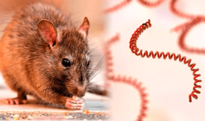 69bc13350c8aed399b0628e5