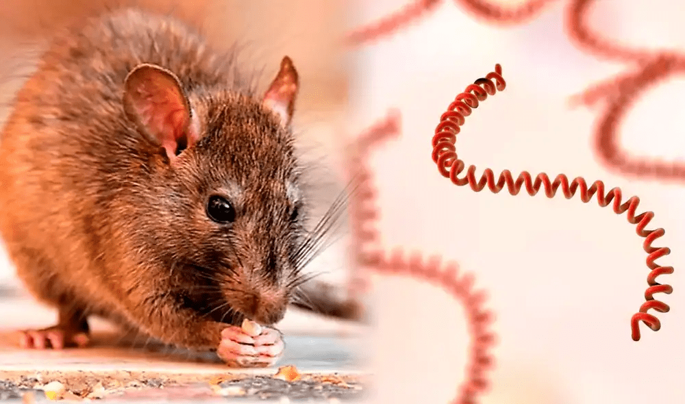 69bc13350c8aed399b0628e5