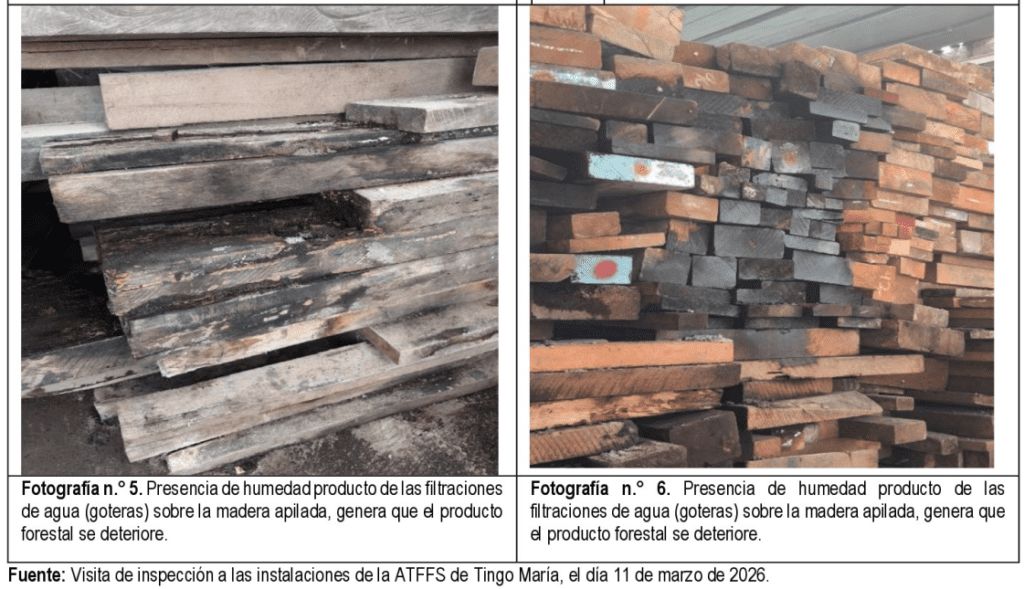 Captura de pantalla 2026-03-26 162731