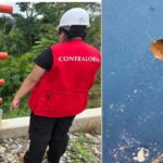 Screenshot_20260422_131244_Chrome