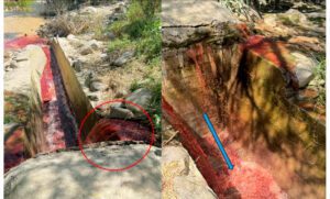 Huánuco: Grave contaminación del río Huallaga por camal municipal