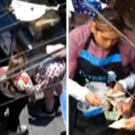 Proyecto-nuevo-2026-05-18T001115.542.jpg