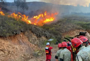 Cajamarca: brigadistas luchan contra un incendio forestal que se reactivó en Llacanora
