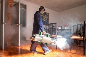 Huánuco necesita 3 millones de soles para combatir avances del dengue