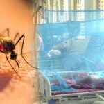 Dengue-Informe-1
