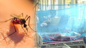 Huánuco bajo la alerta: el dengue se dispara un 123 % y desborda la selva regional