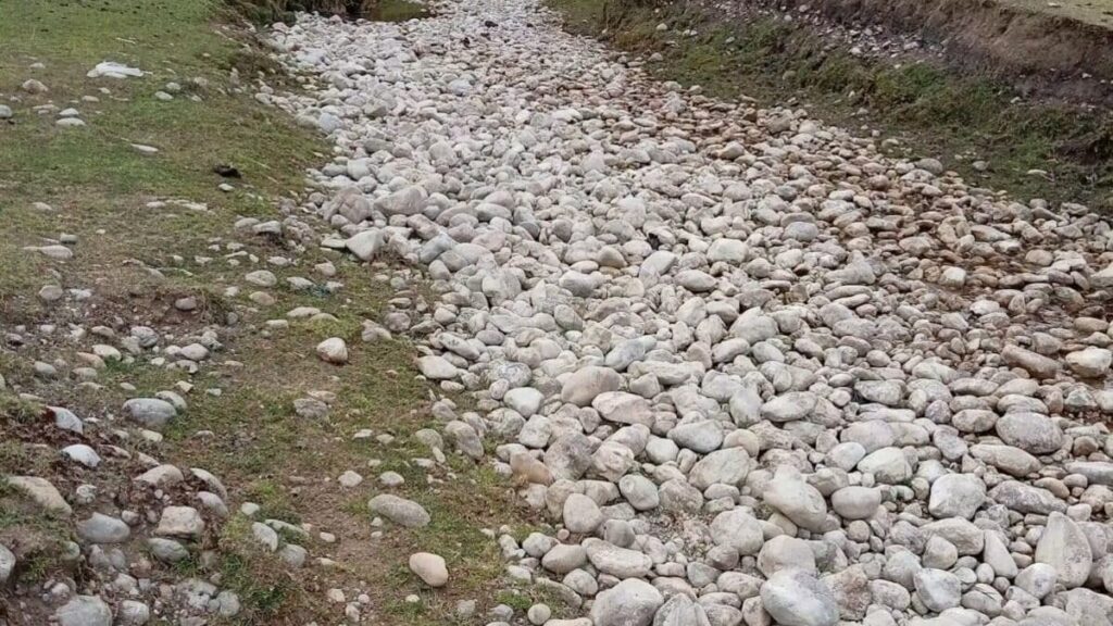 Huánuco: mueren decenas de vacas por falta de agua y pastos