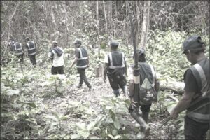 Comunidades de Masisea denuncian avance de coca, avionetas y presión sobre sus territorios