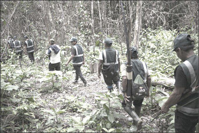 Comunidades de Masisea denuncian avance de coca, avionetas y presión sobre sus territorios